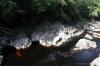 Findhorn July 2021 0219
